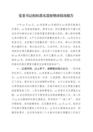 党委书记组织落实巡察整改情况报告2900字