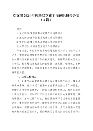 党支部2024年抓基层党建工作述职报告合集（3篇）