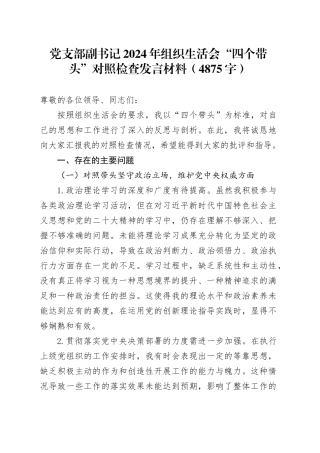 党支部副书记2024年组织生活会“四个带头”对照检查发言材料（4875字）