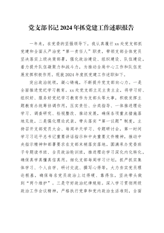 党支部书记2024年抓党建工作述职报告20241211