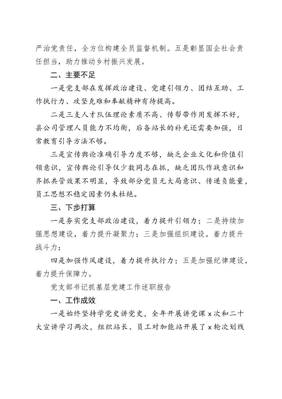 党支部书记抓基层党建工作述职报告（14篇）20250305_第2页