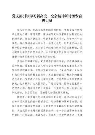 党支部引领学习新高度，全会精神研讨激发奋进力量