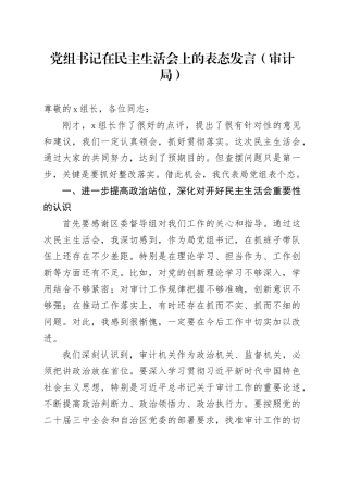 党组书记在民主生活会上的表态发言（审计局）