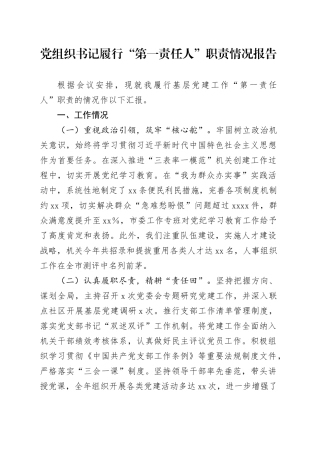 党组织书记履行“第一责任人”职责情况报告