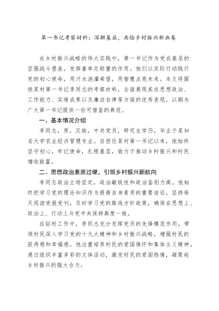 第一书记考察材料：深耕基层，共绘乡村振兴新画卷