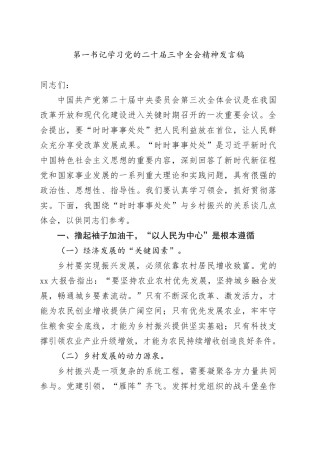 第一书记学习党的二十届三中全会精神发言稿