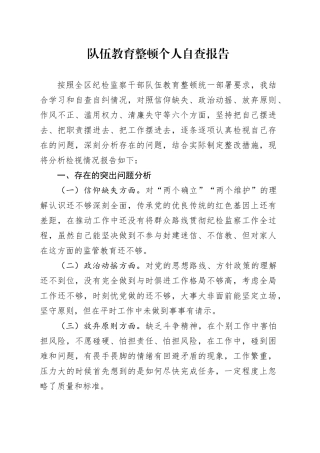 队伍教育整顿个人自查报告