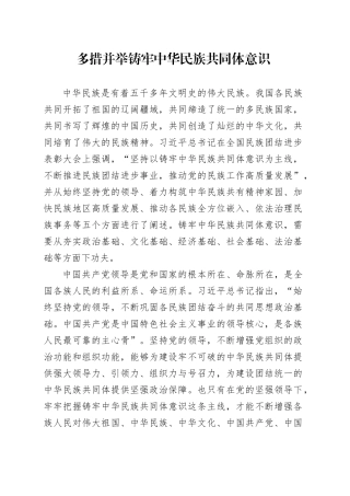 多措并举铸牢中华民族共同体意识