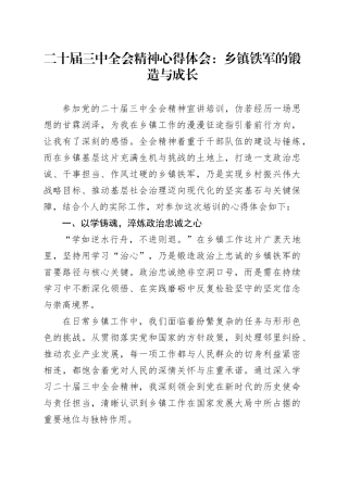 二十届三中全会精神心得体会：乡镇街道铁军的锻造与成长
