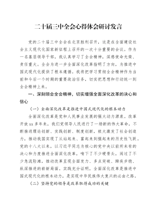 二十届三中全会心得体会研讨发言