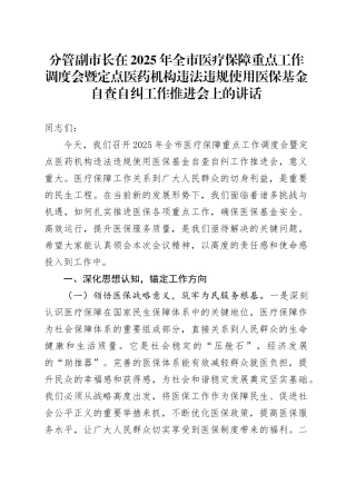 分管副市长在2025年全市医疗保障重点工作调度会暨定点医药机构违法违规使用医保基金自查自纠工作推进会上的讲话