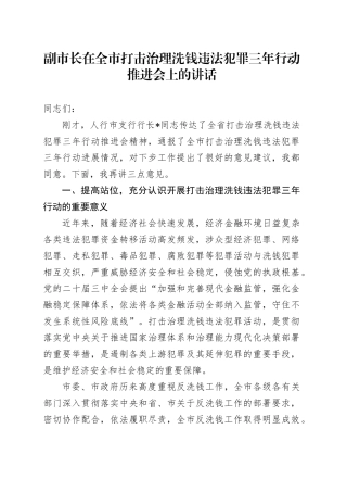 副市长在全市打击治理洗钱违法犯罪三年行动推进会上的讲话