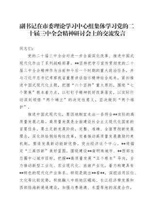 副书记在市委理论学习中心组集体学习党的二十届三中全会精神研讨会上的交流发言