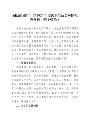 副县级领导2024年度民主生活会对照检查