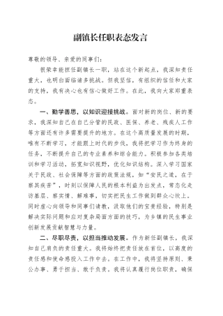 副镇长任职表态发言