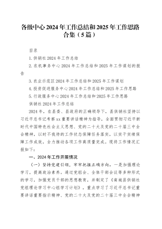 各级中心2024年工作总结和2025年工作思路合集（5篇）