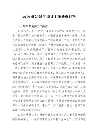 公司2025年审计工作务虚材料