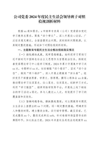 公司党委2024年度民主生活会领导班子对照检视剖析材料