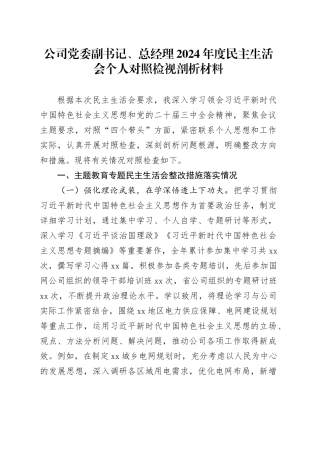 公司党委副书记、总经理2024年度民主生活会个人对照检视剖析材料