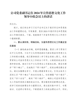 公司党委副书记在2024年宣传思想文化工作领导小组会议上的讲话