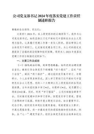 公司党支部书记 2024 年度落实党建工作责任制述职报告