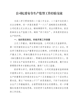 公司纪委安全生产监督工作经验交流