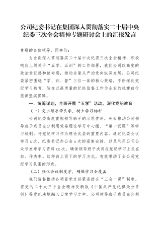 公司纪委书记在深入贯彻落实二十届中央纪委三次全会精神专题研讨会上的汇报发言