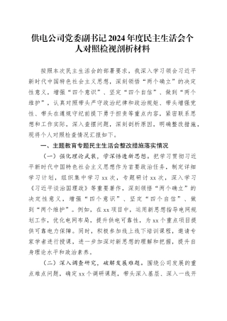 供电公司党委副书记2024年度民主生活会个人对照检视剖析材料