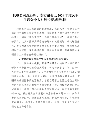 供电公司总经理、党委副书记2024年度民主生活会个人对照检视剖析材料