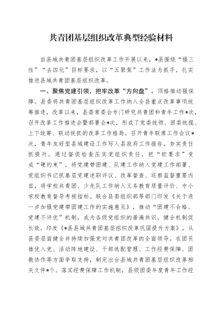 共青团基层组织改革典型经验材料