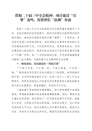 贯彻二十届三中全会精神：项目建设“引擎”轰鸣，投资增长“浪潮”奔涌