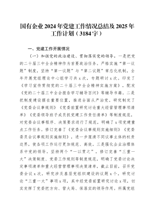 国企2024年党建工作情况总结及2025年工作计划（3184字）