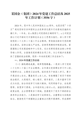 国企2024年党建工作总结及2025年工作计划（3556字）