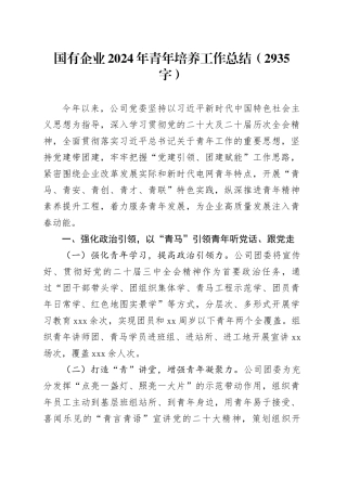 国企2024年青年培养工作总结（2935字）