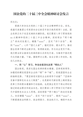 国企党的二十届三中全会精神研讨会发言