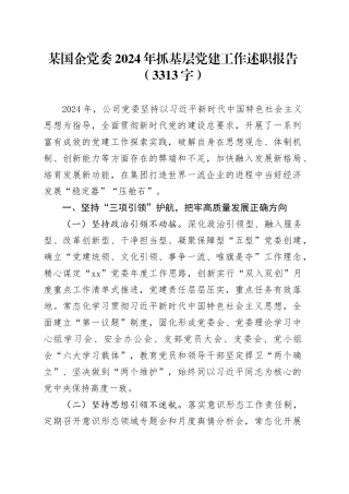 国企党委2024年抓基层党建工作述职报告（3313字）