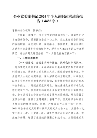国企党委副书记2024年个人述职述责述廉报告（4482字）