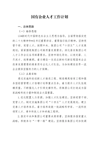 国企公司人才工作计划3700字