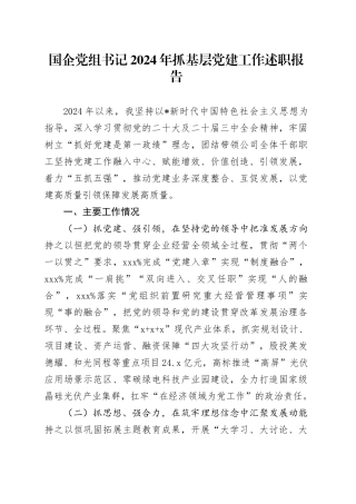 国企公司书记抓党建工作述职报告1900字