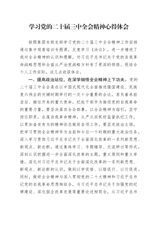 国企纪检干部党的二十届三中全会心得体会