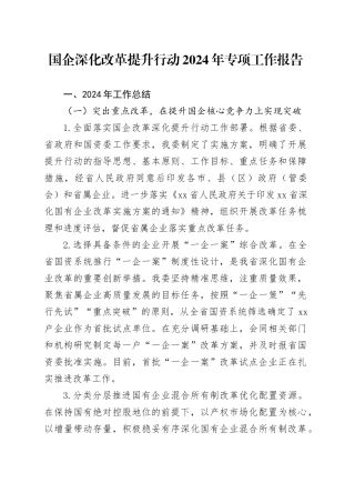 国企深化改革提升行动2024年专项工作报告