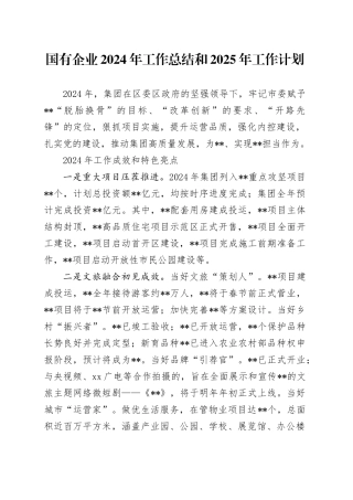 国有企业 2024 年工作总结和 2025 年工作计划