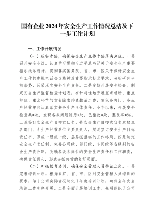 国有企业2024年安全生产工作情况总结及下一步工作计划