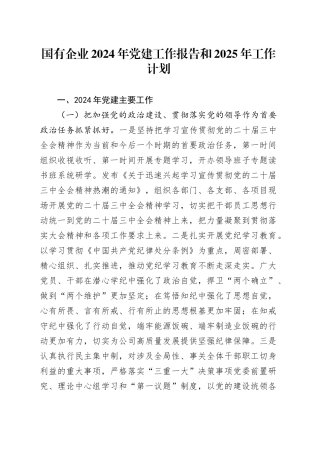 国有企业2024年党建工作报告和2025年工作计划20241225