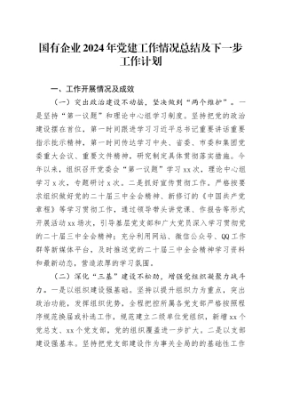 国有企业2024年党建工作情况总结及下一步工作计划（2）