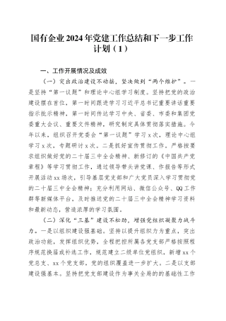 国有企业2024年党建工作总结和下一步工作计划20250115