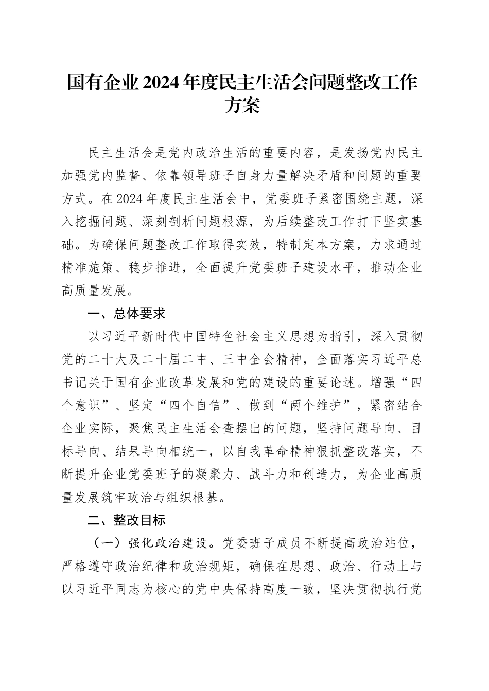 国有企业2024年度民主生活会问题整改工作方案20250312_第1页