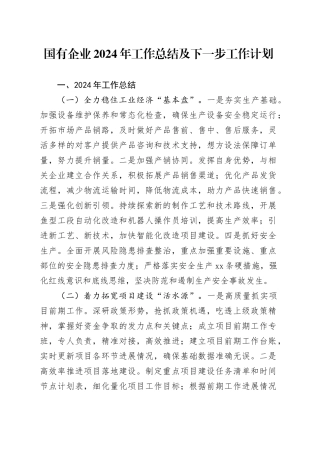 国有企业2024年工作总结及下一步工作计划