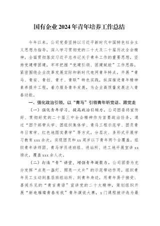 国有企业2024年青年培养工作总结
