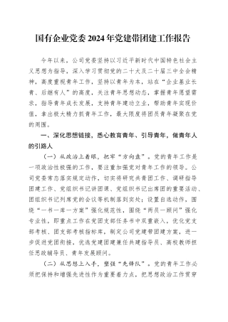 国有企业党委2024年党建带团建工作报告20241218